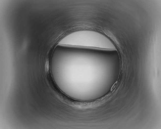 X0000116450021200912081423