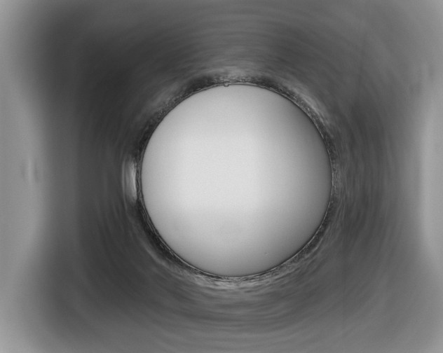 X0000116450022200912081423