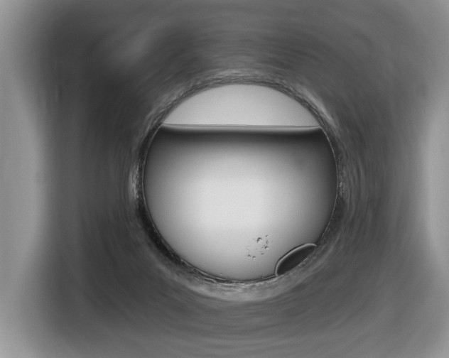 X0000116450023200912081423