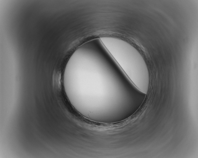 X0000116450024200912081423