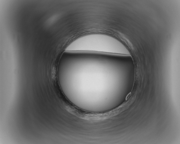 X0000116450025200912081423
