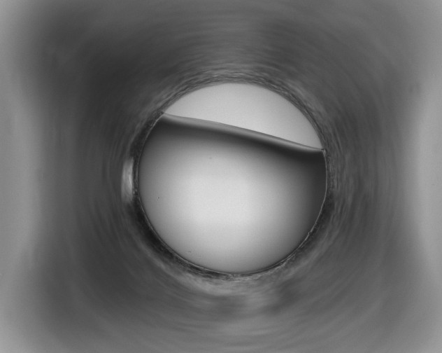 X0000116450028200912081423