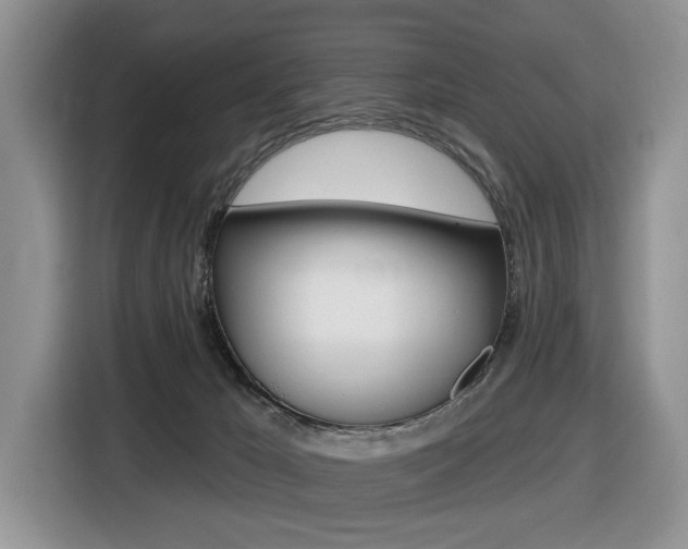 X0000116450029200912081423