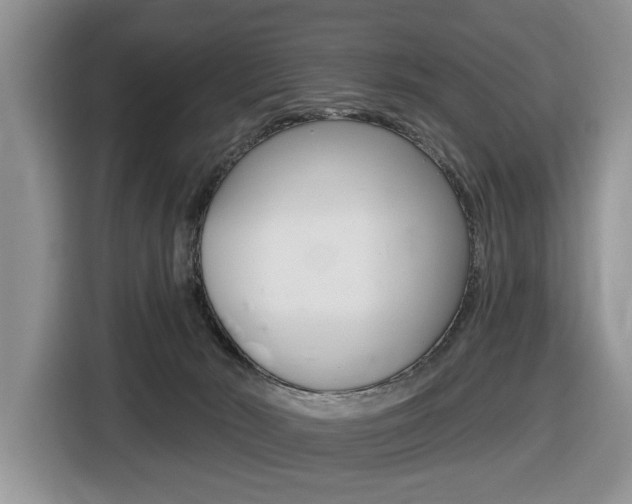 X0000116450030200912081423