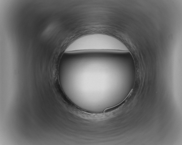 X0000116450031200912081423