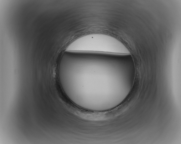 X0000116450032200912081423