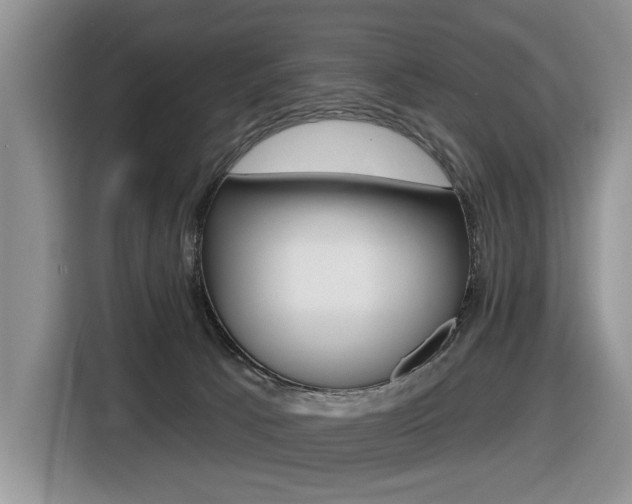 X0000116450033200912081423