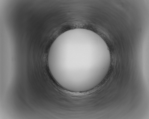 X0000116450034200912081423