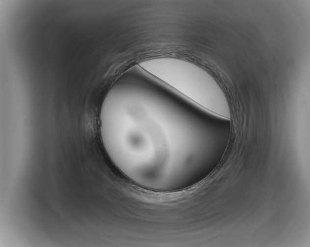 X0000116450035200912081423