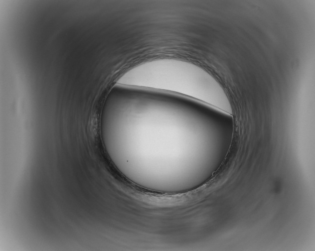 X0000116450036200912081423