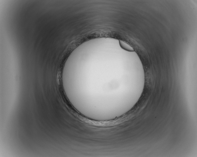 X0000116450038200912081423