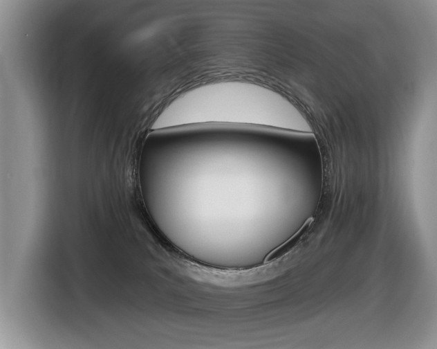 X0000116450039200912081423