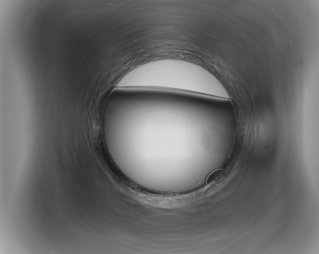 X0000116450040200912081423