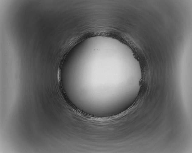 X0000116450041200912081423