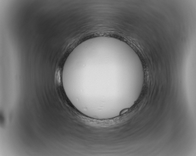 X0000116450042200912081423