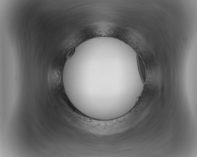 X0000116450043200912081423
