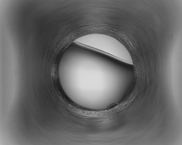 X0000116450044200912081423