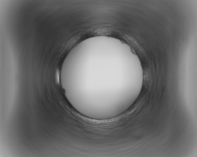X0000116450046200912081423