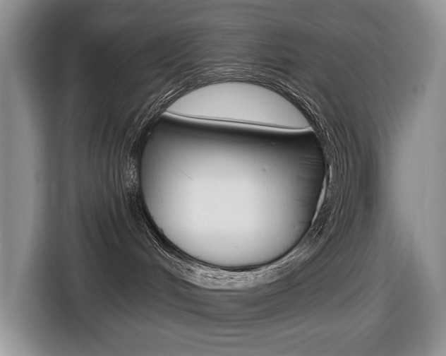 X0000116450048200912081423