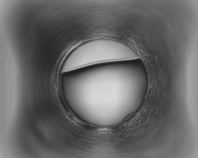 X0000116450050200912081422