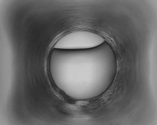 X0000116450051200912081422