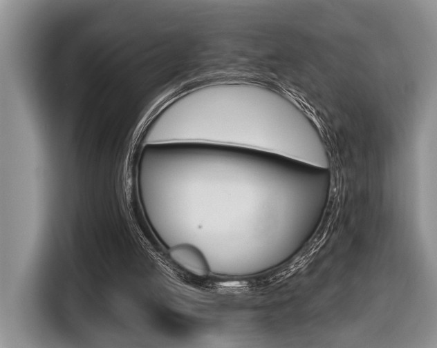X0000116450053200912081422