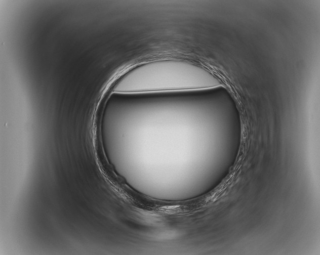 X0000116450054200912081422