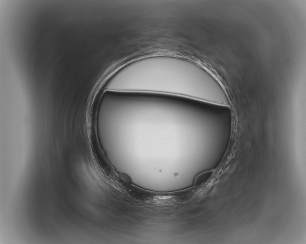 X0000116450055200912081422