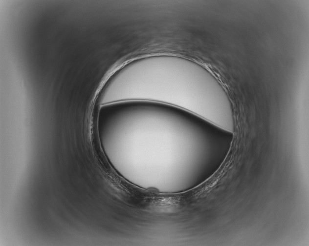 X0000116450056200912081422