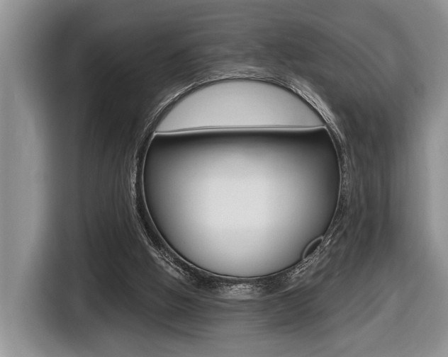 X0000116450058200912081422