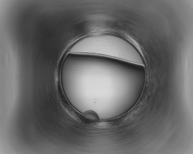 X0000116450059200912081422