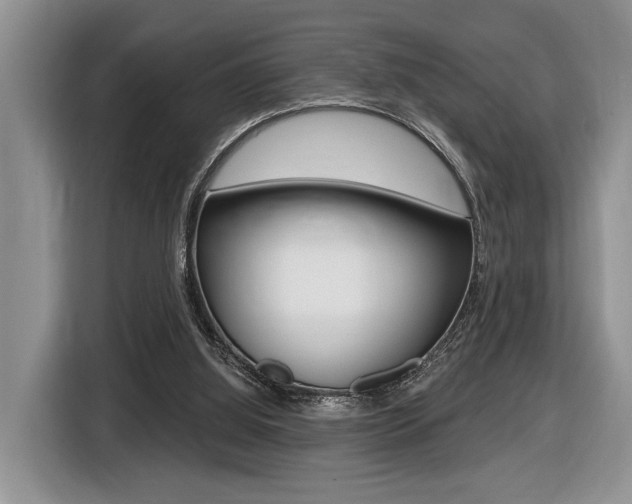 X0000116450060200912081422