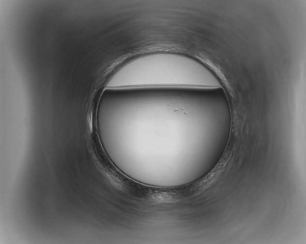X0000116450062200912081422