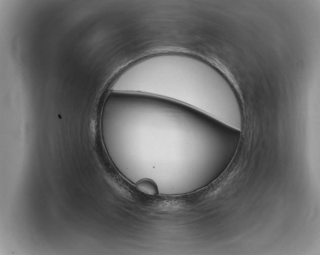 X0000116450063200912081422