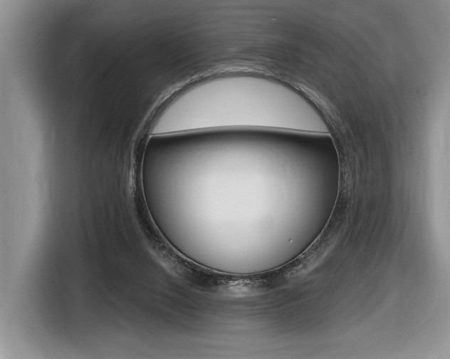 X0000116450064200912081422