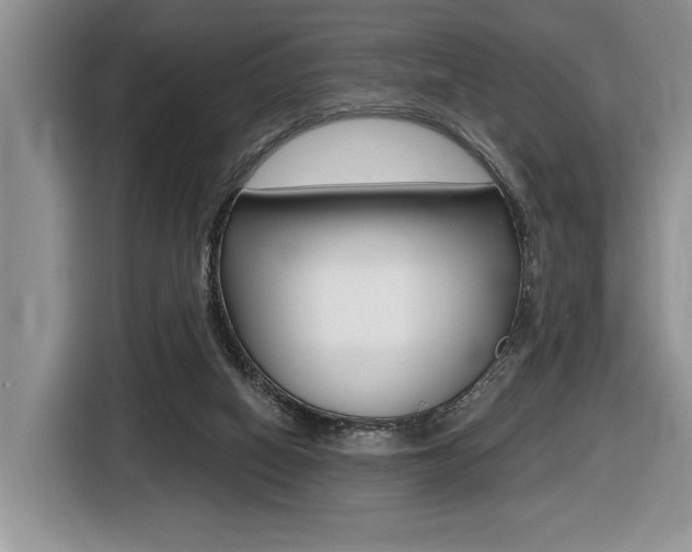 X0000116450066200912081422