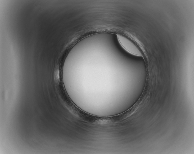 X0000116450067200912081422
