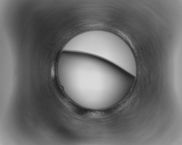 X0000116450069200912081422