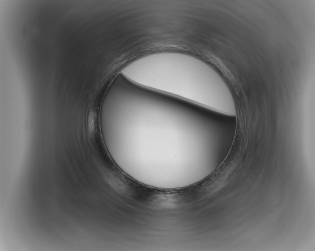 X0000116450071200912081422