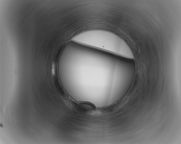 X0000116450075200912081422