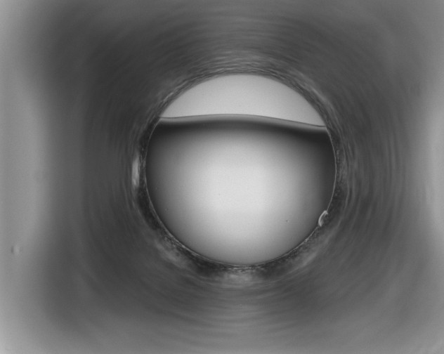 X0000116450076200912081422