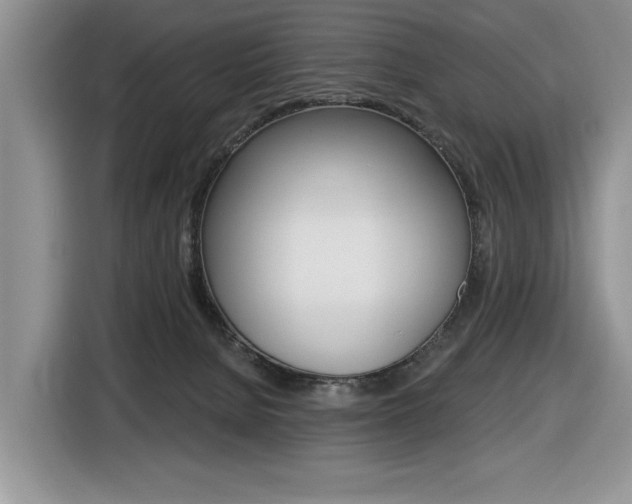 X0000116450080200912081422