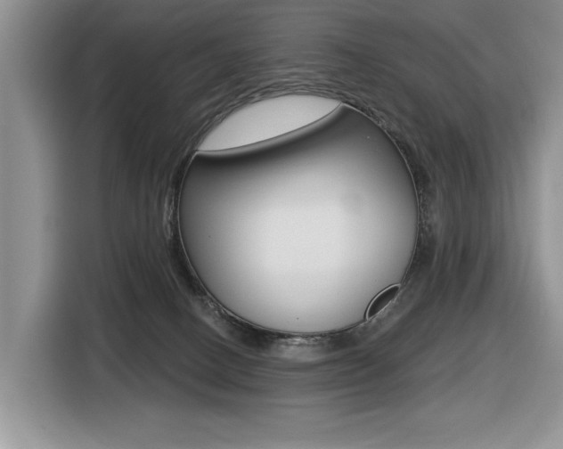 X0000116450082200912081422
