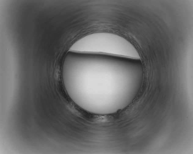 X0000116450083200912081422