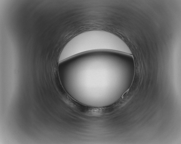 X0000116450084200912081422