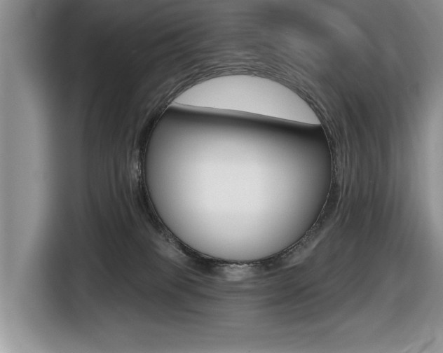 X0000116450085200912081422