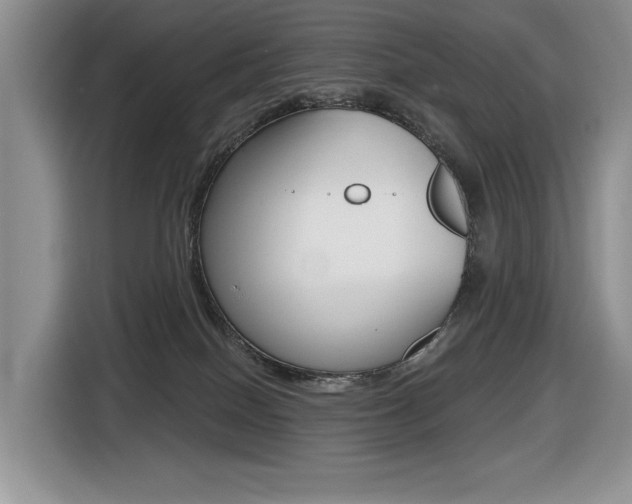X0000116450086200912081423