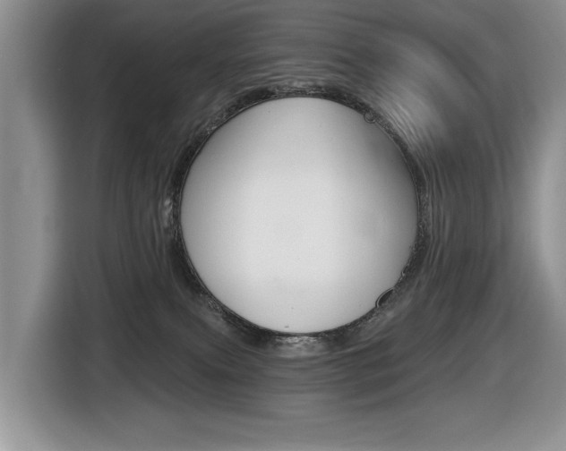 X0000116450087200912081423