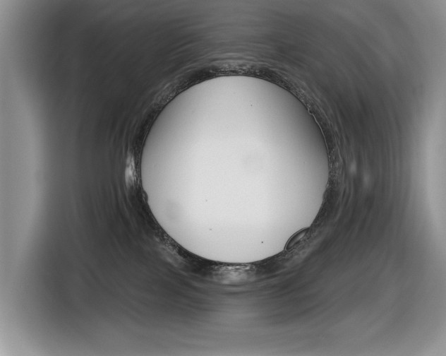 X0000116450089200912081423