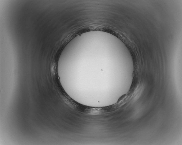 X0000116450090200912081423
